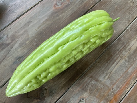 ちょっとめずらしい夏野菜セットS 【5-6種】　農薬不使用栽培