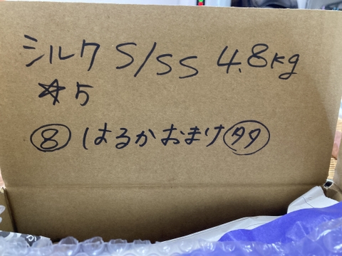 1番人気‼️さつまいも　2種食べ比べ
千葉県香取市産　【はるか&シルク】4.8kg