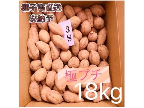 絶品】大人気！安納芋 極プチサイズ 18kg(箱別)：鹿児島県産の安納紅
