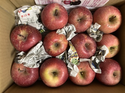 まるせい果樹園のサンふじ　訳あり　自家用　家庭用　6キロ　rf8