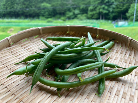 山のミネラルたっぷり野菜セットSサイズ1～2人用