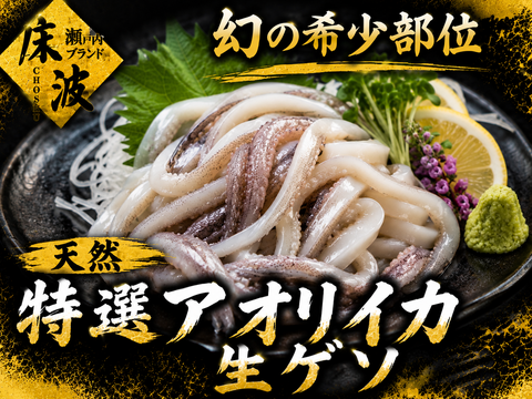 【旨みの宝庫】キッチンで網焼き居酒屋の味を☆長州床波ブランド 天然国産『特選アオリイカ 生ゲソ』ビール・ハイボールが止まらない！イカの王様希少部位 豪快大容量パック約400g