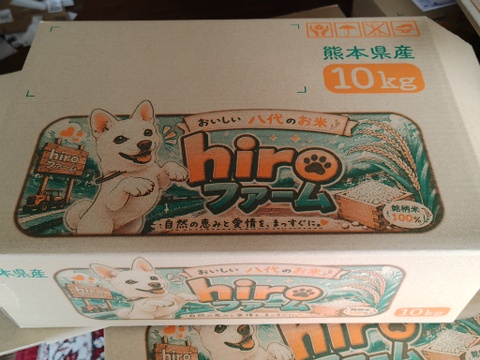新米 白米 10kg 無洗米 キヌヒカリ　令和8年度産　熊本県産  食べチョクアワード受賞　hiroファーム 【9周年感謝祭】