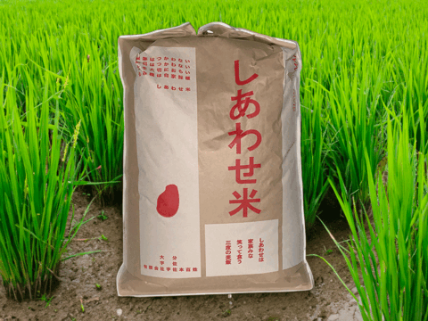 自然栽培の『しあわせ米』玄米20kg