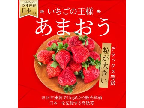 いちごの王様！あまおう苺 人気サイズ 270g×４パック デラックス等級【冬ギフト】