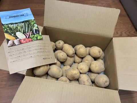【栽培期間中農薬・化学肥料不使用】調理しやすい！じゃがいも(とうや)　4.5㎏