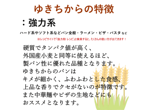 【栽培期間中農薬不散布】強力粉 2kg 青森県産単一品100％使用 日本の小麦 「ゆきちから」