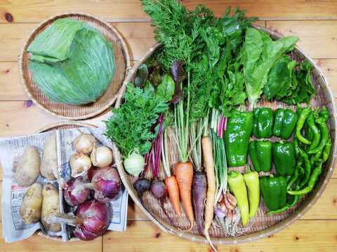 【農薬化学肥料不使用】おまかせ野菜セット【８種類以上の野菜】【金曜日発送】【熨斗(のし)対応可】【８０サイズ箱】