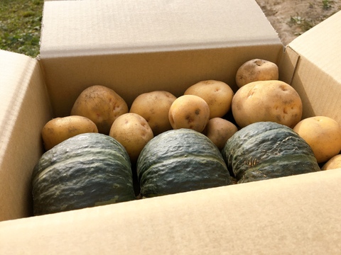 ☆秋の味覚☆北海道産 ホクホクセット 約3kg