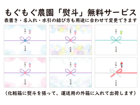 【山梨県産】ピオーネ(種無し)1kg（2〜3房）【クール便】【熨斗対応可】【夏ギフト】