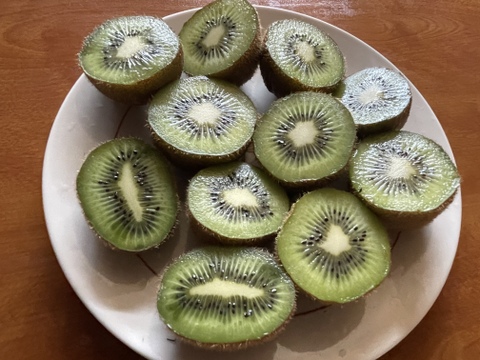 国東半島の地下水で育った栄養満点のキウイを直接お届け！『国東産キウイ』2.5kg　ヘイワード（16〜30個）