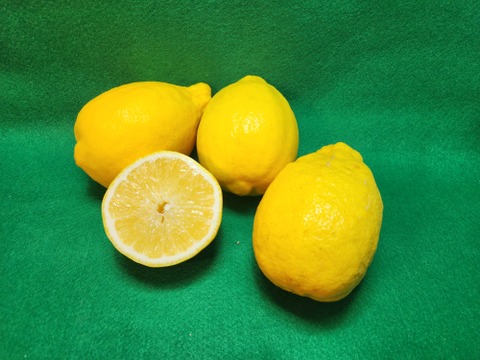 濃い濃い薄皮みかんSサイズ箱込役3㎏と種がないレモン箱込2㎏　セット　別々より送料お得