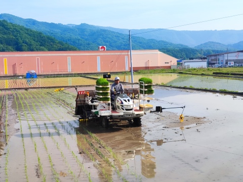 【令和7年産】晴れの国岡山産コシヒカリ玄米20kg