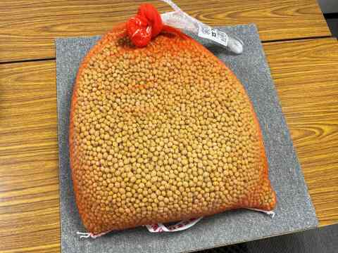 肥料不使用・農薬不使用の自然１９年の大豆　10ｋｇ