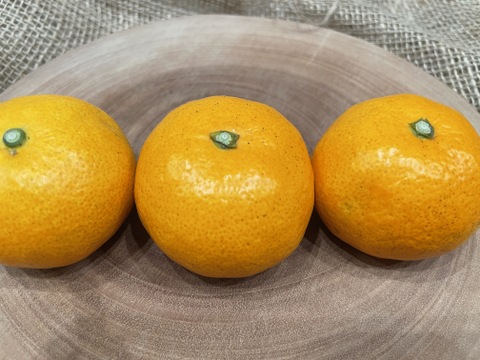 【訳あり】幻のみかん販売開始！！淡路島産　灘みかん 2.5kg