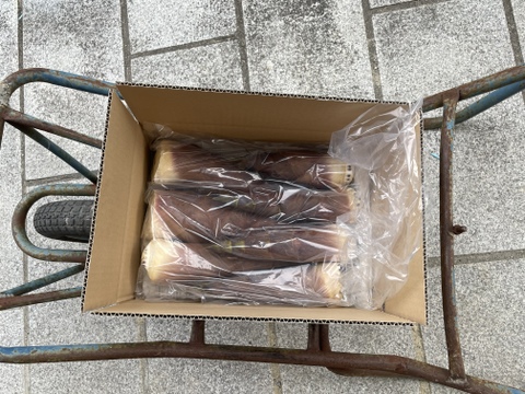初夏のタケノコ　淡竹(はちく)【3kg】下ゆで不要！のタケノコ