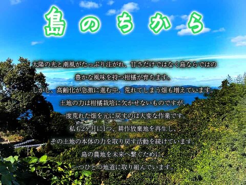 【愛媛県中島産】味濃厚春みかん！カラマンダリン農薬不使用　サイズ混合2キロ
