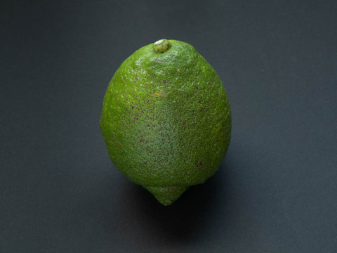 【広島県産】瀬戸田しまなみレモンC品(2kg) 栽培期間中農薬不使用