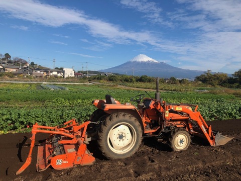 農薬・化学肥料不使用！カラフルピーマンセット1kg！