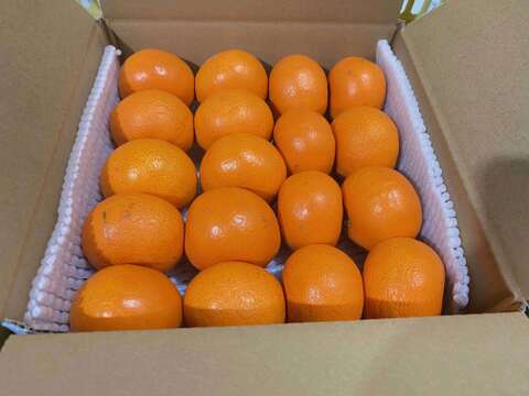 【小さなお口にぴったりフィット】もっと 小ちゃい！今年も甘〜くなった せとか です 3Sサイズ ご家庭用 みかん　18個入り❗️