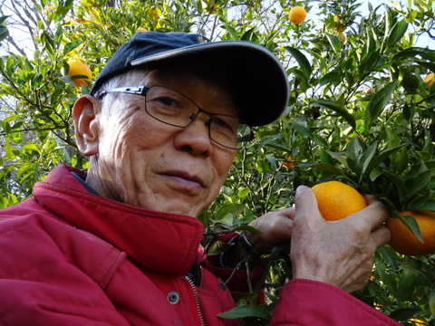 【🍊大津４号 5kg 】糖酸のバランスの取れたみかんです。年明けは北の産地が本命！