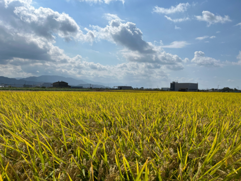 ✨令和７年産新米✨ﾌﾟﾚﾐｱﾑｸｵﾘﾃｨ認定５㎏｢ひめの凜｣一等米【白米】