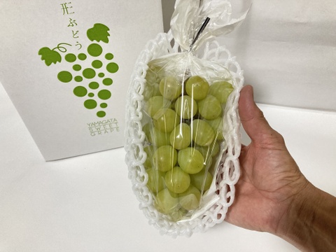 「シャインマスカット」約400g 3房入り「数量限定」「期間限定」