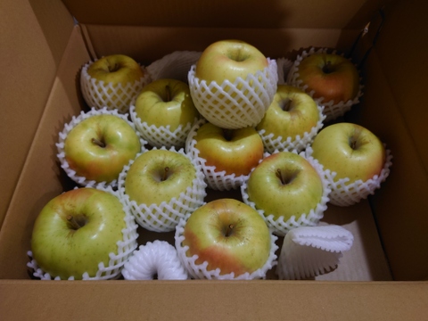 【販売開始！】青森県産りんご「ぐんま名月」家庭用 キズ有 約5kg 【光センサー選果・高リピート率】