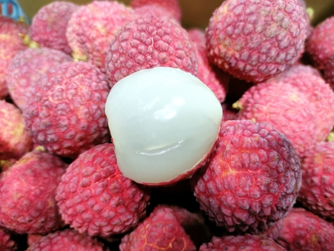 国産生ライチ　350ｇパック