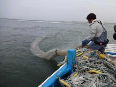 最上品★網元が作る天日干しシラス 化粧箱入り