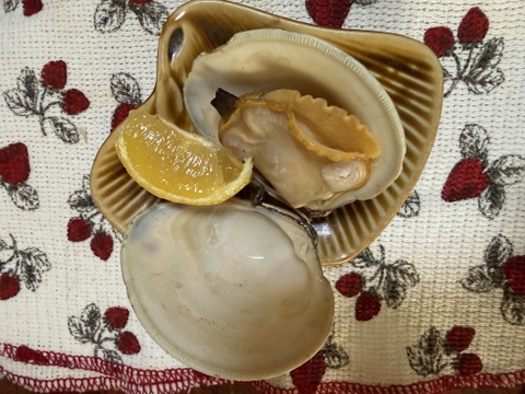 船橋三番瀬ホンビノス貝　
(千葉ブランド水産物認定品)
 1個50g〜100g  4kg