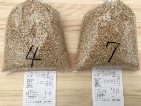 令和2年産コシヒカリ特別栽培米　玄米5㎏　古米限定！【値引き販売中】