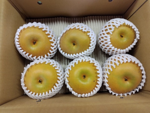 特大サイズ】あきづき 3kg(6玉入り)：千葉県産のあきづき｜食べチョク