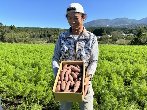 かごしまのさつまいもはそのやま農園　“さつま紅はるか”　使い勝手の良いML品  　貯蔵ものが元気においしくスタート！　掘りたておいしい→貯蔵して超絶おいしい！　【ちょうど良い5ｋｇ】　有機ＪＡＳ