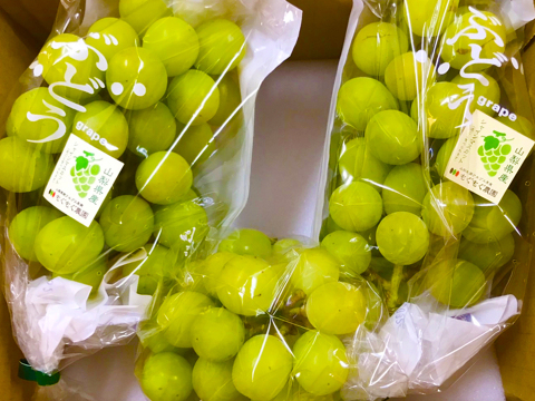 【福袋2025】山梨県産シャインマスカット2.6kg+おまけ600g以上！お得な3.3kg福袋！【8周年記念セット】【ご家庭用】