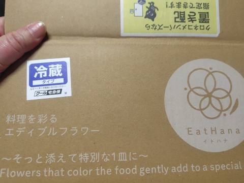 ＜室内栽培＞【エディブルフラワー　ビオラインディゴブルー（20輪）】EatHanaイトハナ　食べられる花　水洗い不要　日持ち　ケーキ飾り　トッピング　デコレ―ション　装飾　クリスマス　お祝い　誕生日