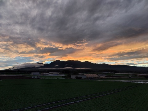 八ヶ岳高原の恵み満載！新鮮野菜5種詰め合わせセット