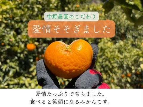 超ジューシー！ゆら早生 有田みかん 3ｋｇ 家庭用