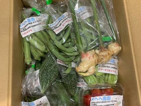 【初回限定価格】ヤギまっしぐら！ほんのり味わい深い野菜セット