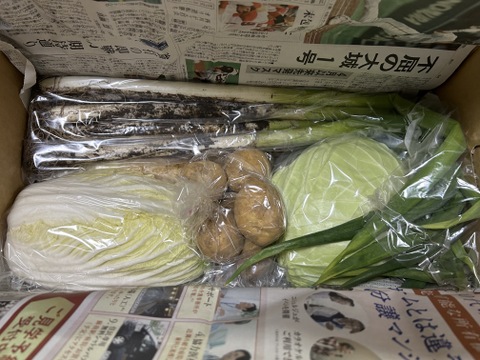 【選べる】オーガニック野菜セット(9品)