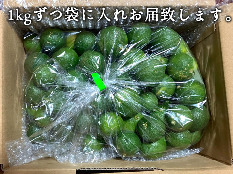 消毒無し！！すだち【わけあり】1kg 三重県伊勢志摩産