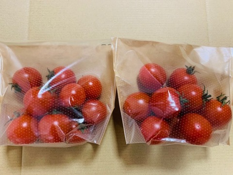 甘さと鮮やかな紅色、ミニトマト　❝千果❞　200g10袋（2kg入り）