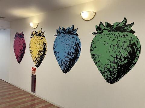 芳醇な香り！贅沢な味わいのドライイチゴ（20g×2パック）