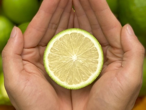 【薄皮】グリーンレモン 5kg【種が少ない】【防腐剤・ワックス不使用】
