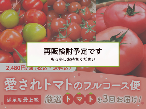 【完売御礼】【限定100セット】愛されトマトのフルコース便🍅（食べチョク公式）