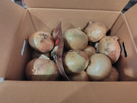【予約商品】糖度９〜10度！! 甘い！！　淡路島スイートオニオン たまねぎ(5キロ)