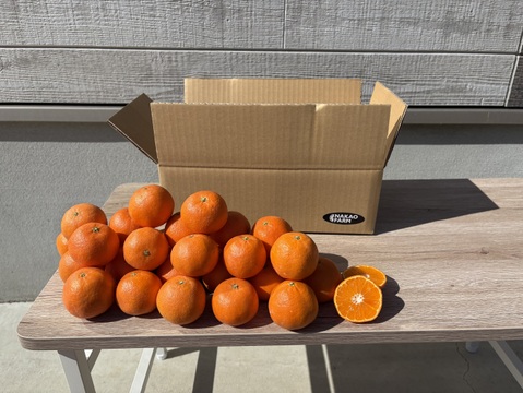 2027予約販売🎵佐賀県太良町産クレメンティン（箱込み2キロ）