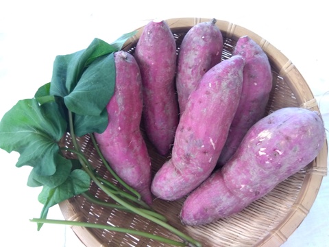 サリーちゃん専用サイト
①ブラックのジョー２～３玉（３Ｋｇ以上）
②切干大根２５ｇ入り３パック　
③紅はるかさつま芋２Ｋｇ
リクエストな組み合わせです。