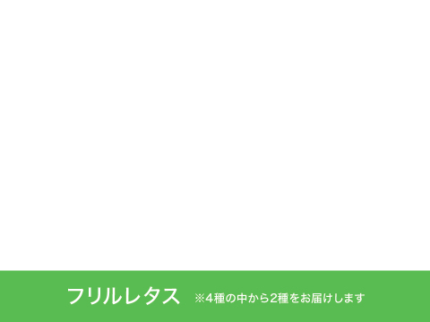 【農薬化学肥料不使用】つなぐファーム厳選おすすめセット【2種類の野菜】　1箱8袋（2種類×4袋）（1袋70～90ｇ程度）