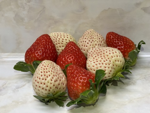 【予約開始】紅白いちごセット！！